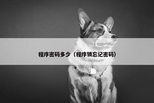 程序密码多少（程序锁忘记密码）