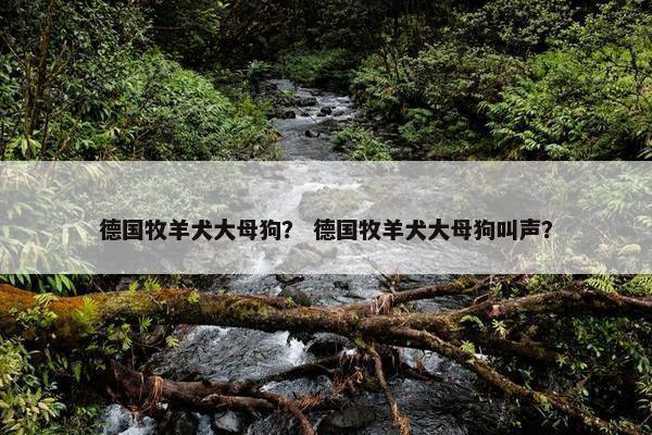 德国牧羊犬大母狗？ 德国牧羊犬大母狗叫声？