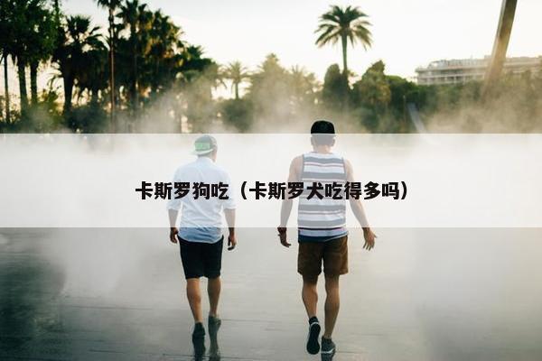 卡斯罗狗吃（卡斯罗犬吃得多吗）