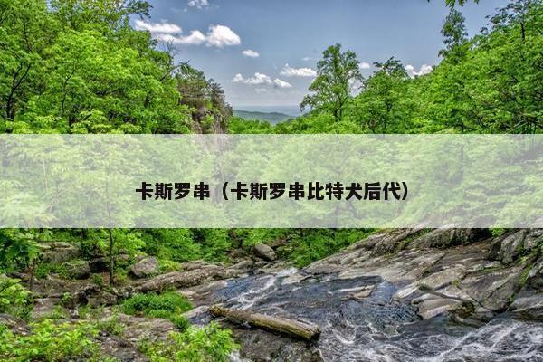 卡斯罗串（卡斯罗串比特犬后代）