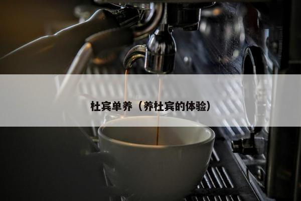杜宾单养（养杜宾的体验）