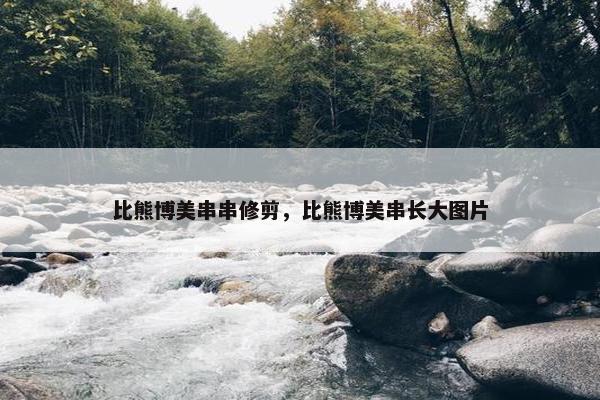 比熊博美串串修剪，比熊博美串长大图片