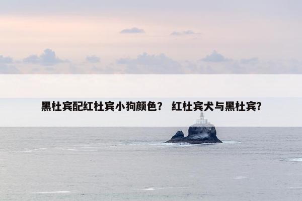 黑杜宾配红杜宾小狗颜色？ 红杜宾犬与黑杜宾？