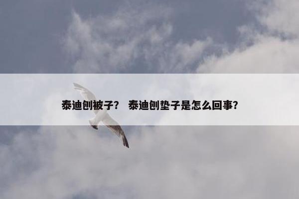 泰迪刨被子？ 泰迪刨垫子是怎么回事？