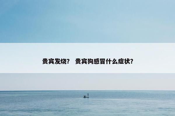 贵宾发烧？ 贵宾狗感冒什么症状？