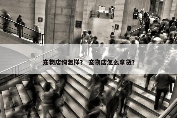 宠物店狗怎样？ 宠物店怎么拿货？