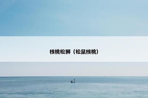核桃松狮（松鼠核桃）