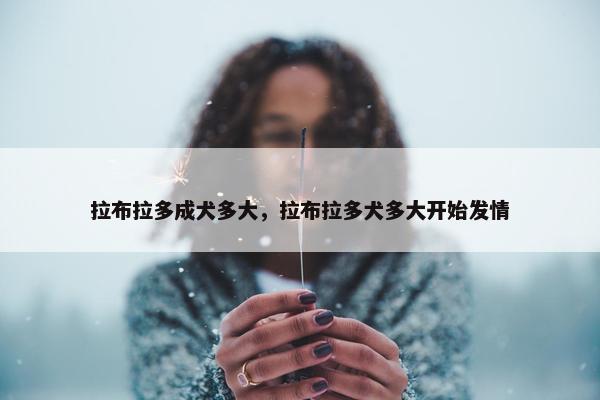 拉布拉多成犬多大，拉布拉多犬多大开始发情