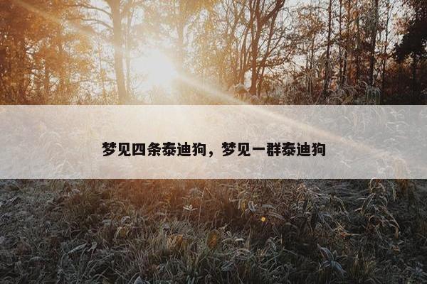 梦见四条泰迪狗，梦见一群泰迪狗