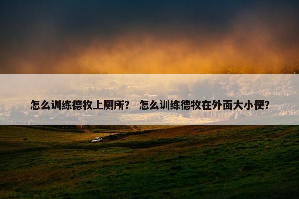 怎么训练德牧上厕所？ 怎么训练德牧在外面大小便？