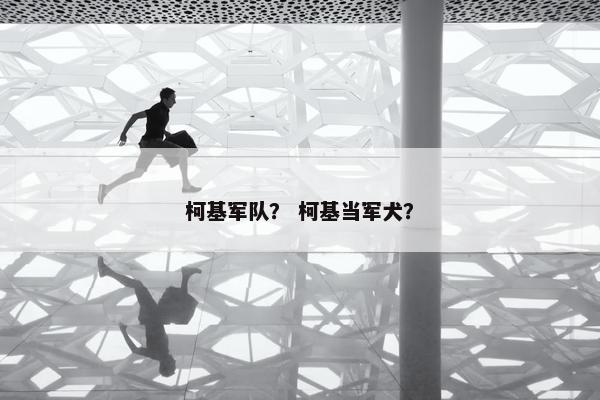 柯基军队？ 柯基当军犬？