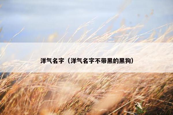 洋气名字（洋气名字不带黑的黑狗）