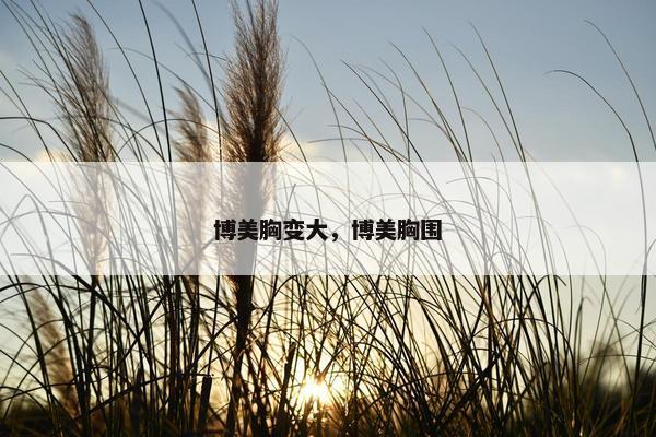 博美胸变大，博美胸围
