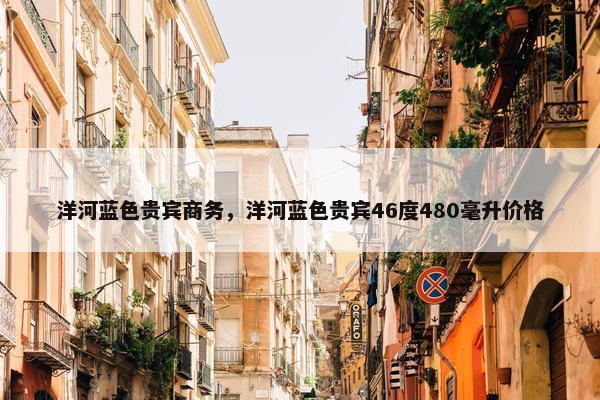 洋河蓝色贵宾商务，洋河蓝色贵宾46度480毫升价格