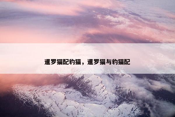 暹罗猫配豹猫，暹罗猫与豹猫配