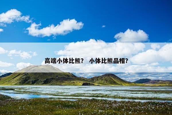 高端小体比熊？ 小体比熊品相？