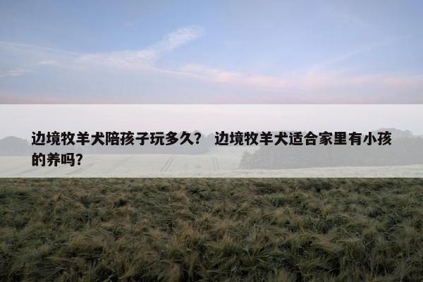 边境牧羊犬陪孩子玩多久？ 边境牧羊犬适合家里有小孩的养吗？