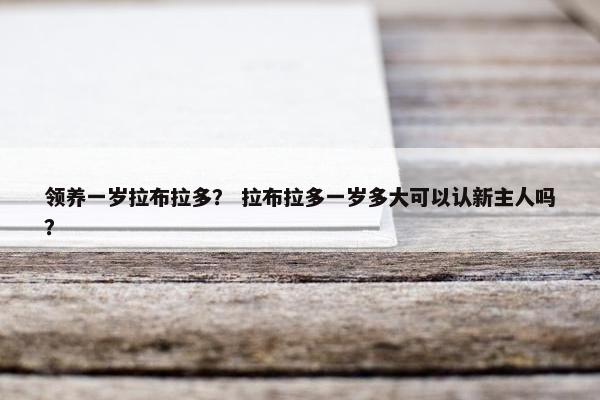 领养一岁拉布拉多？ 拉布拉多一岁多大可以认新主人吗？