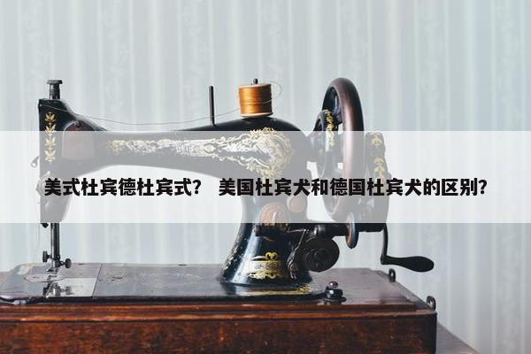 美式杜宾德杜宾式？ 美国杜宾犬和德国杜宾犬的区别？