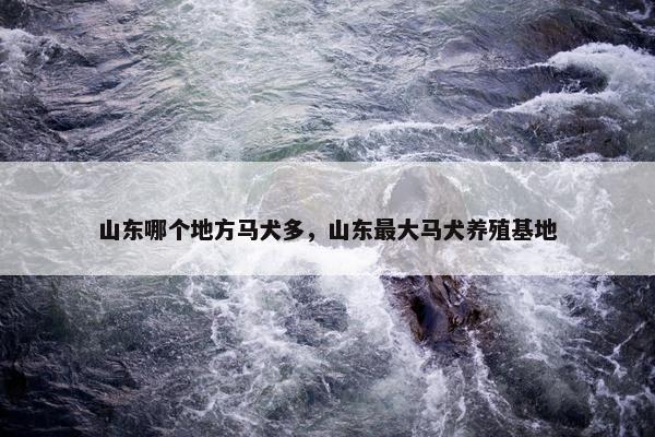 山东哪个地方马犬多，山东最大马犬养殖基地