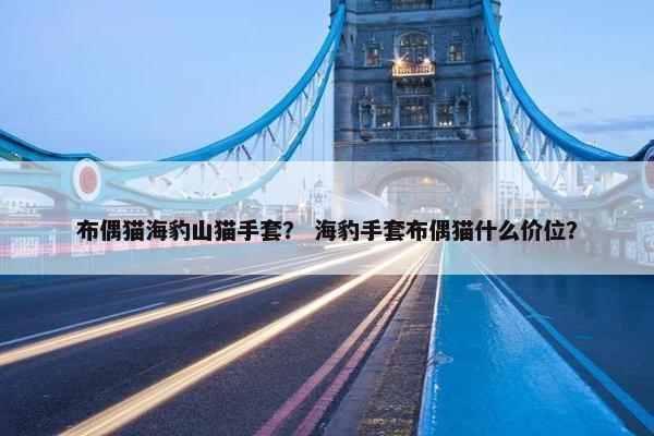 布偶猫海豹山猫手套？ 海豹手套布偶猫什么价位？
