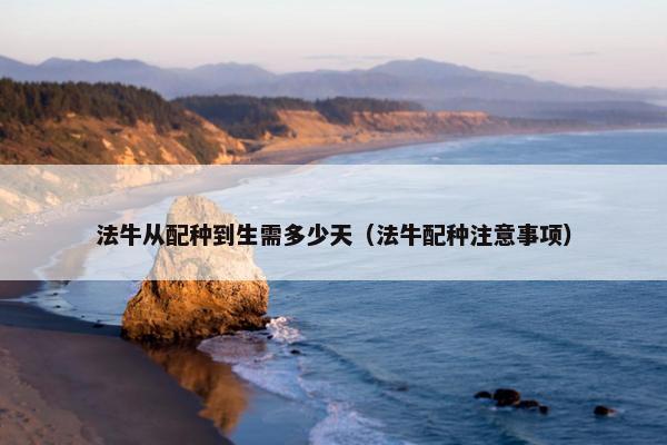 法牛从配种到生需多少天（法牛配种注意事项）