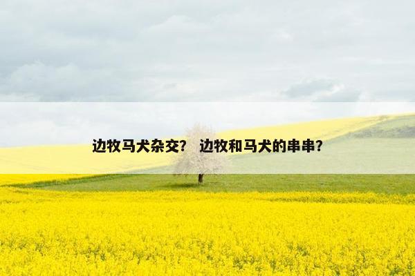 边牧马犬杂交？ 边牧和马犬的串串？