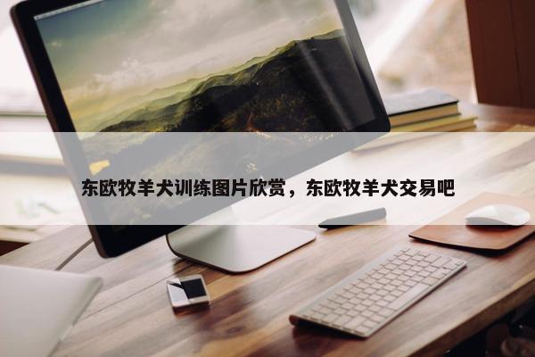 东欧牧羊犬训练图片欣赏，东欧牧羊犬交易吧
