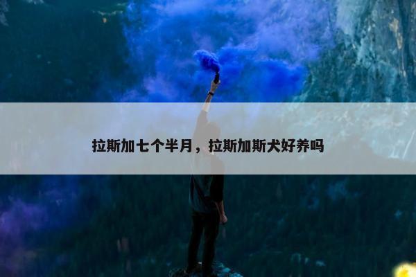 拉斯加七个半月，拉斯加斯犬好养吗