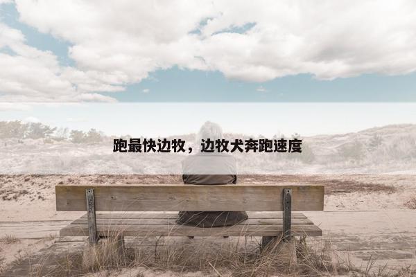 跑最快边牧，边牧犬奔跑速度