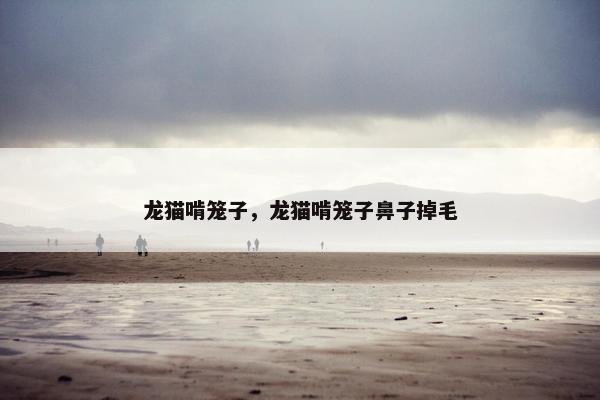 龙猫啃笼子，龙猫啃笼子鼻子掉毛