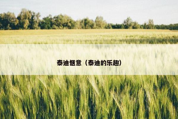 泰迪惬意（泰迪的乐趣）