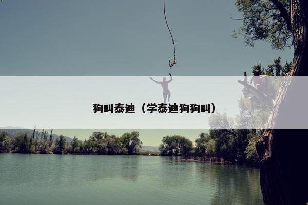 狗叫泰迪（学泰迪狗狗叫）