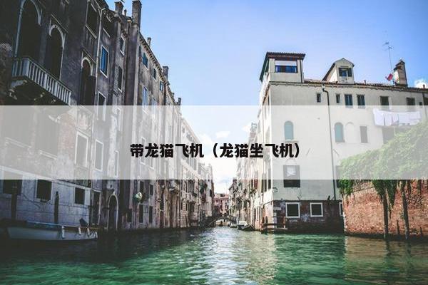 带龙猫飞机（龙猫坐飞机）