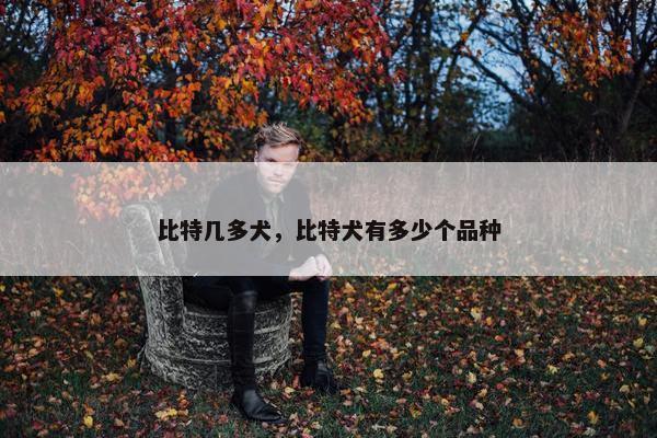 比特几多犬，比特犬有多少个品种