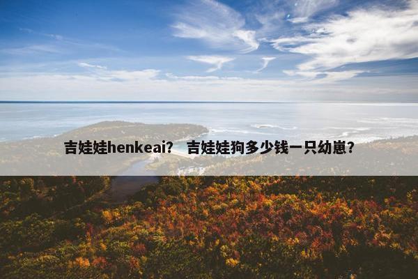 吉娃娃henkeai？ 吉娃娃狗多少钱一只幼崽？