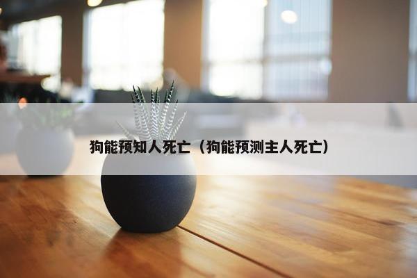 狗能预知人死亡（狗能预测主人死亡）