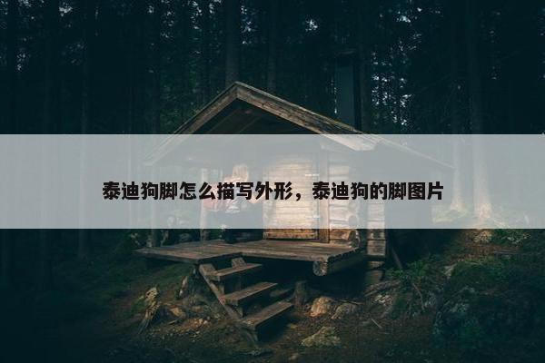 泰迪狗脚怎么描写外形，泰迪狗的脚图片