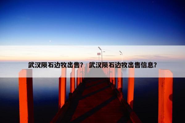 武汉陨石边牧出售？ 武汉陨石边牧出售信息？