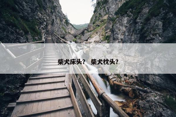 柴犬床头？ 柴犬枕头？