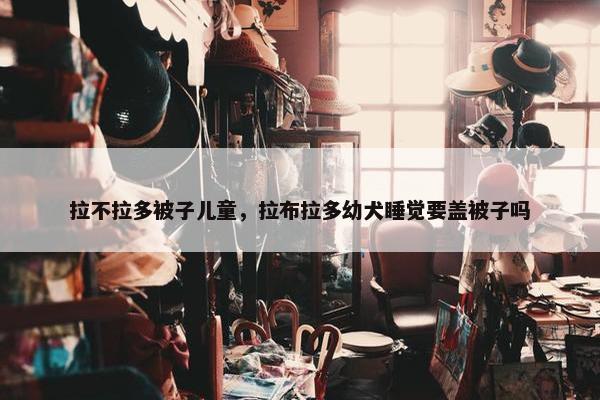 拉不拉多被子儿童，拉布拉多幼犬睡觉要盖被子吗