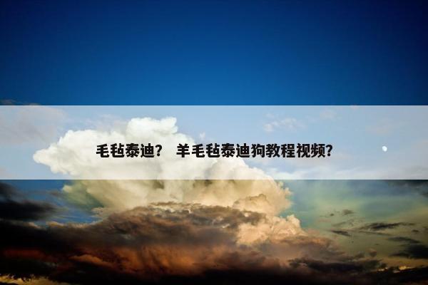 毛毡泰迪？ 羊毛毡泰迪狗教程视频？