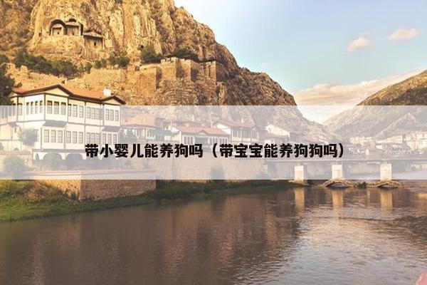 带小婴儿能养狗吗（带宝宝能养狗狗吗）