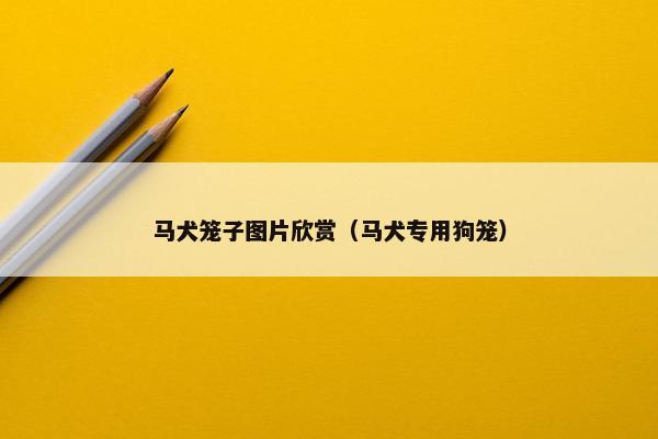 马犬笼子图片欣赏（马犬专用狗笼）