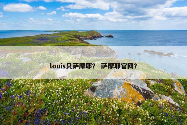 louis只萨摩耶？ 萨摩耶官网？