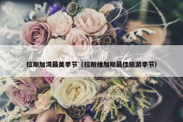 拉斯加湾最美季节（拉斯维加斯最佳旅游季节）