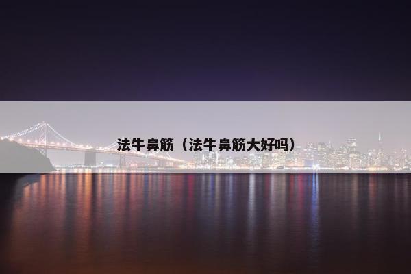 法牛鼻筋（法牛鼻筋大好吗）