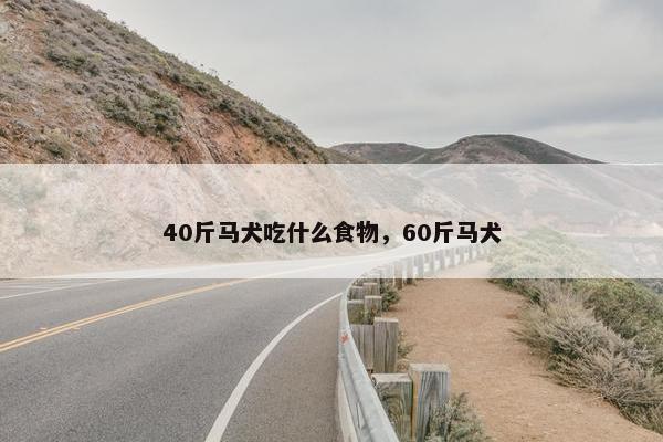 40斤马犬吃什么食物，60斤马犬