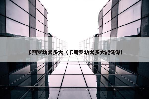 卡斯罗幼犬多大（卡斯罗幼犬多大能洗澡）