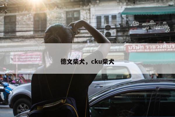 德文柴犬，cku柴犬